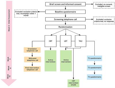 Cognitive Behavioural Therapy and Light Dark Therapy for Maternal Postpartum Insomnia Symptoms: Protocol of a Parallel-Group Randomised Controlled Efficacy Trial